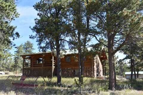 12237 Highway 96, Westcliffe, CO 81252