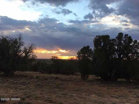 14 Eagle Road, Snowflake, AZ 85937