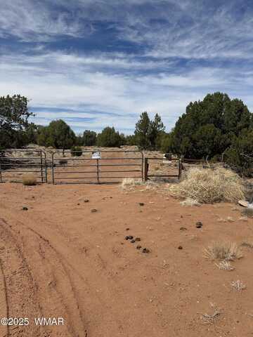 14 Eagle Road, Concho, AZ 85924