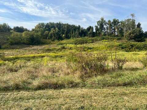 00 Fayette City Blvd, Perry Twp, PA 15428