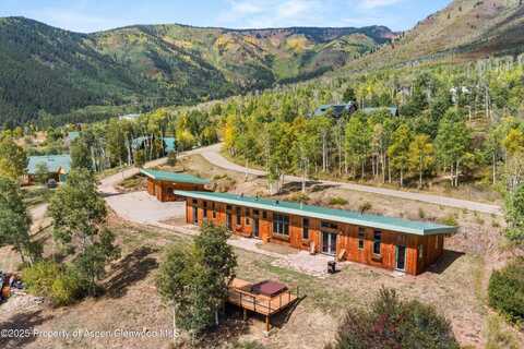 320 Hawk Lane, Basalt, CO 81621