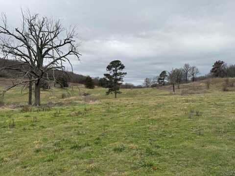 Tract D Nicewarner RD, Lincoln, AR 72744
