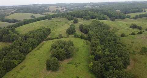 Barren Hollow, Marshall, AR 72650