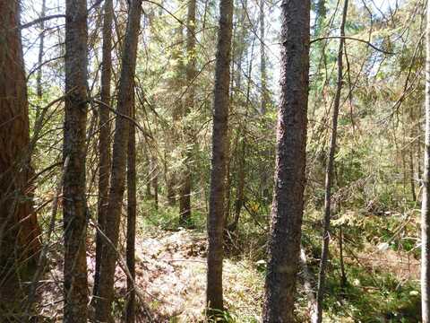 V/L 37.79A Hopkins Lodge Trail, Grayling, MI 49738