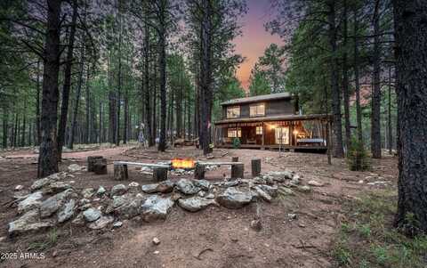 1643 Rifle Way, Forest Lakes, AZ 85931