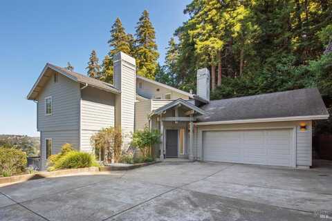 70 Madrone Park Circle, Mill Valley, CA 94941