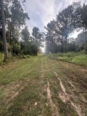 3750 Haynes Lp, Kountze, TX 77625