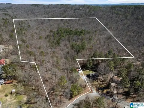 0 OAKRIDGE DRIVE, ONEONTA, AL 35121