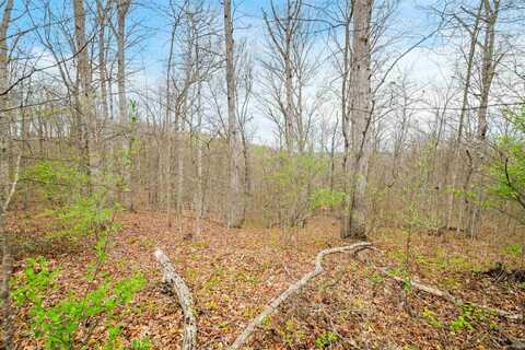 Lower Schooner Road, Nashville, IN 47448