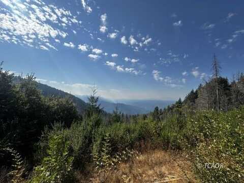 7N15, Willow Creek, CA 95573