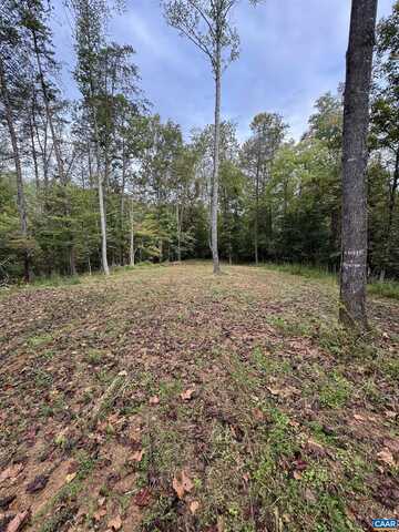 2.39 acres PLANK RD, BATESVILLE, VA 22924