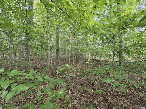 230 BEECH NUT DR, LOUISA, VA 23093