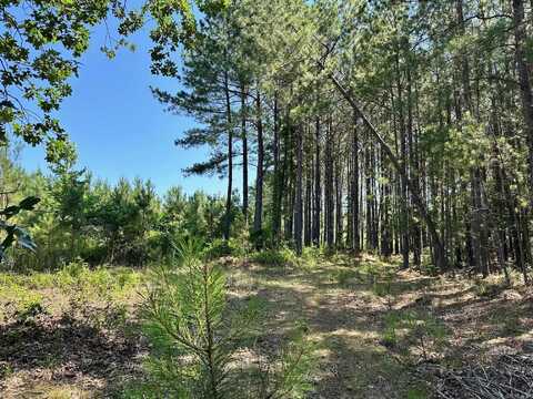 00 Caglesville Lane, Russellville, AR 72802