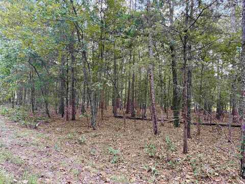Lot 5 & 6 Ellen, Higden, AR 72067