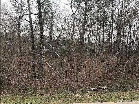 2512 Volcanic Drive, Benton, AR 72019