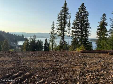 Lot 11 Flying Eagle Dr, Harrison, ID 83833