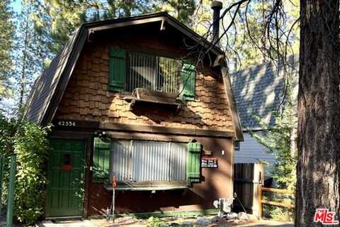 42534 La Placida Ave, Big Bear Lake, CA 92315
