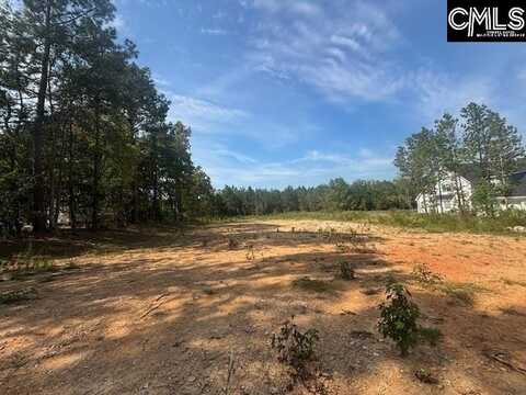 1615 Loner Road, Blythewood, SC 29016