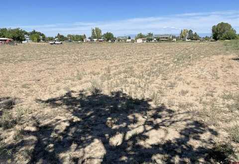 TBD Niagara Road, Montrose, CO 81403
