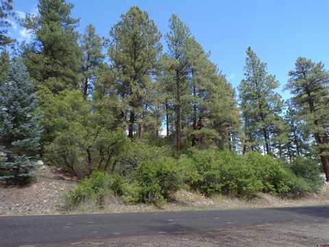 481 Swiss Village Drive, Pagosa Springs, CO 81147