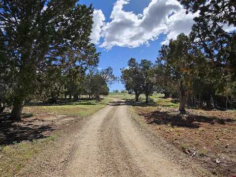 TBD Road S.2, Dolores, CO 81323