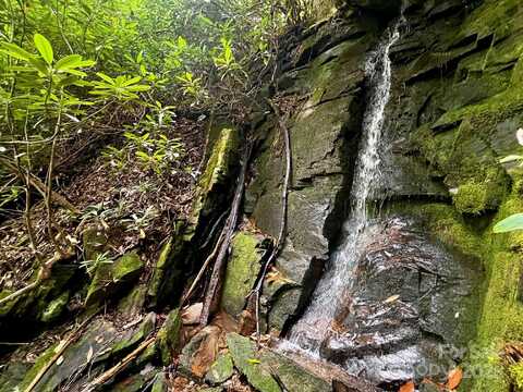 Silver Maple Trail lot: 11, Brevard, NC 28712