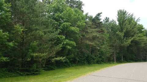 ON HORSESHOE ROAD, Tomahawk, WI 54487