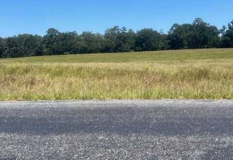 3830 31st Ave, Bell, FL 32619