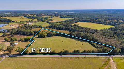 15.1 Acres US HWY 331 N, DeFuniak Springs, FL 32433