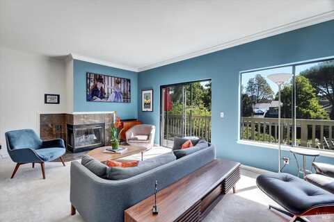116 Eucalyptus Knoll Street, Mill Valley, CA 94941