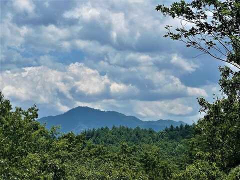 Lot 59 Musket Rd, Almond, NC 28702