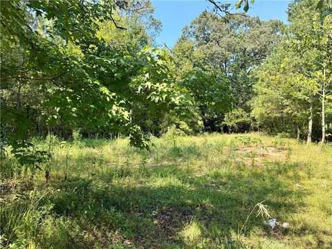 14205 Ga Highway 100, Franklin, GA 30217