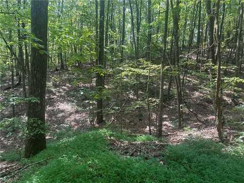 101 Deer Trail, Jasper, GA 30143
