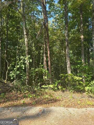 130 Lakeview, Martin, GA 30557