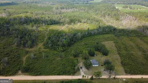 Tract 2 Pine Cone, Mershon, GA 31551