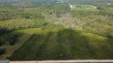 Tract 3 Pine Cone, Mershon, GA 31551