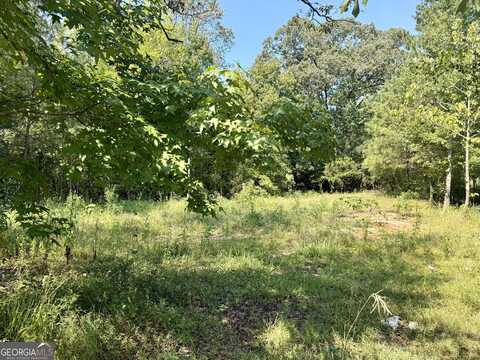 14205 Ga Highway 100, Franklin, GA 30217