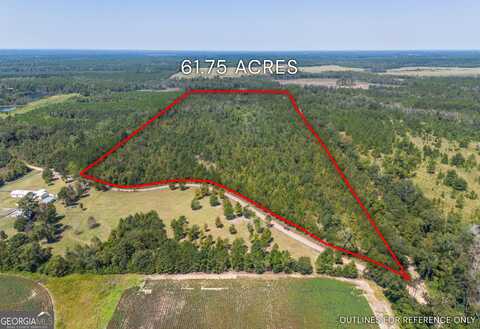 0 Wilcox, Rhine, GA 31077