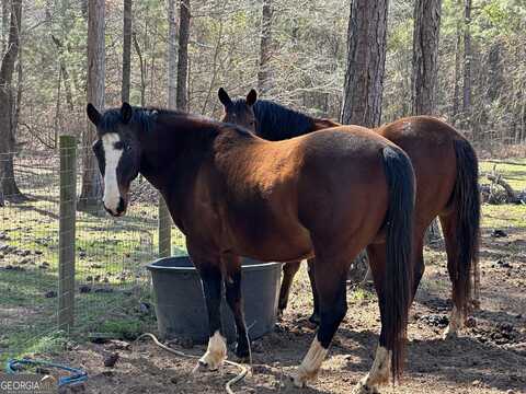 71 Acres Roosevelt, Warm Springs, GA 31830
