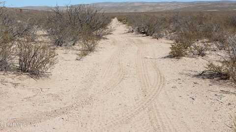 AB 2329 BLK 82 SEC 1 PSL UNIT 1 PAR 13, Van Horn, TX 79855