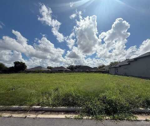 2905 Dhalia Drive, San Juan, TX 78589