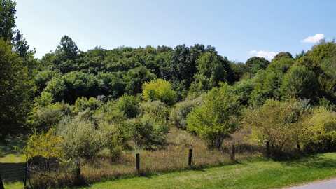 Vl Meadow Lane, Lawrence, MI 49064