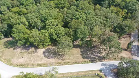 000 Black Oak Resort Lane, Lampe, MO 65681