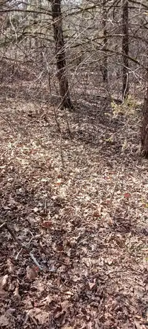 Lot 26 Crestview Drive, Theodosia, MO 65761