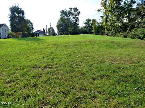 W Main Street lot: 2, Dandridge, TN 37725