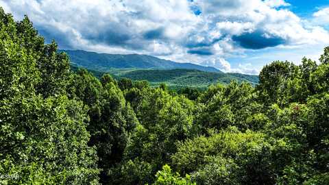 Angie Lane, Gatlinburg, TN 37738