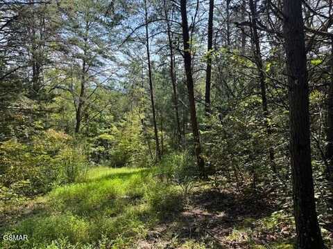 Tanglewood Drive lot: 8, Sevierville, TN 37876