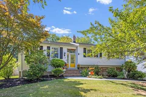 10 Cedar Ln, Roxbury Township, NJ 07876