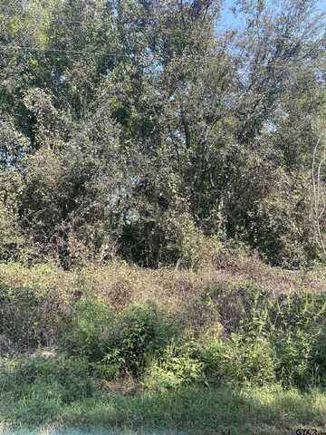 TBD CR 3510, Leesburg, TX 75451