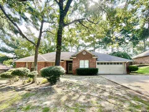 18161 Silver Leaf Dr, Flint, TX 75762